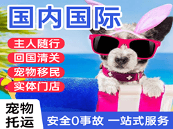 博乐阿拉山口机场货运国际宠物托运 【国